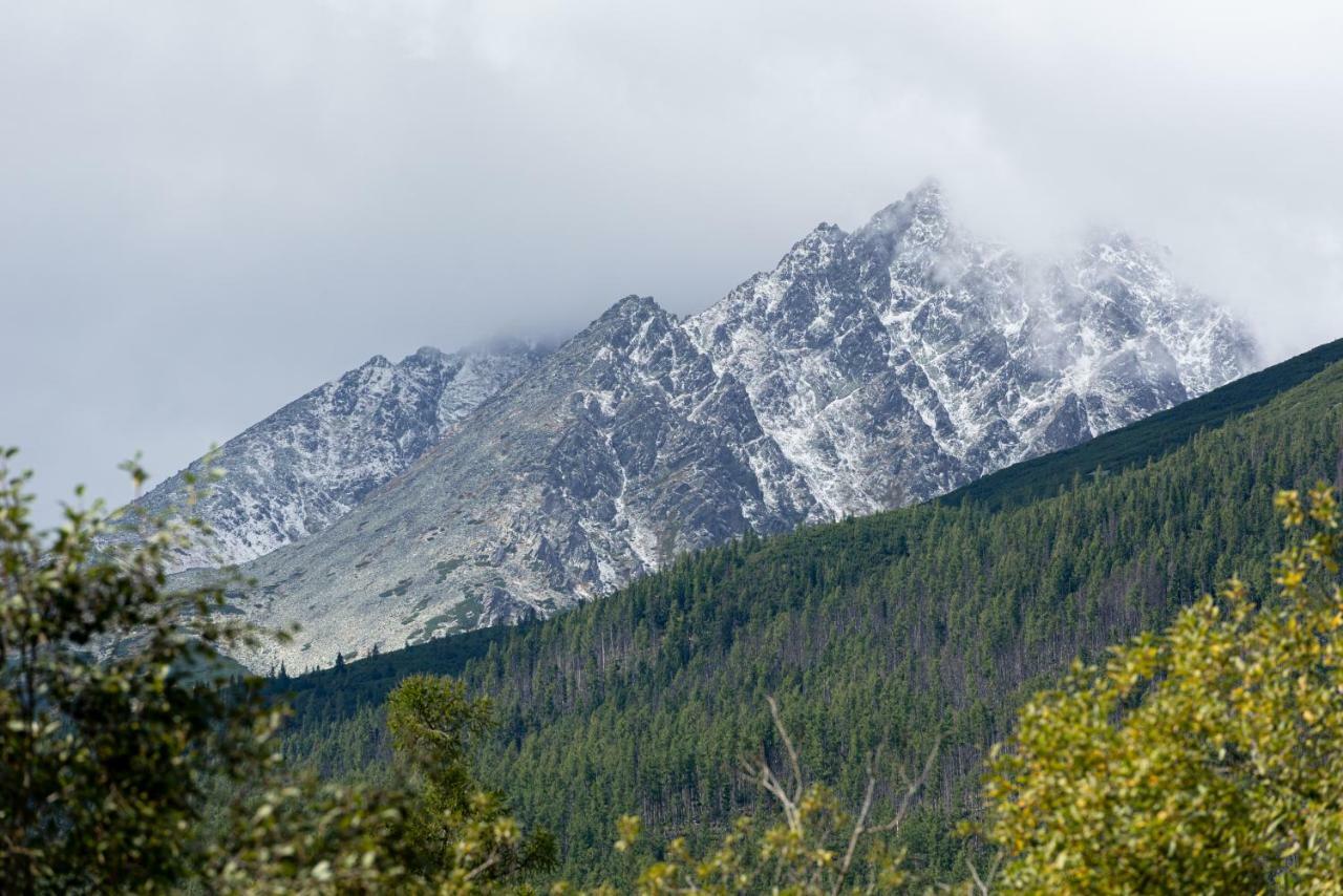 Studio Hrebienok C211 Vysoké Tatry Eksteriør billede